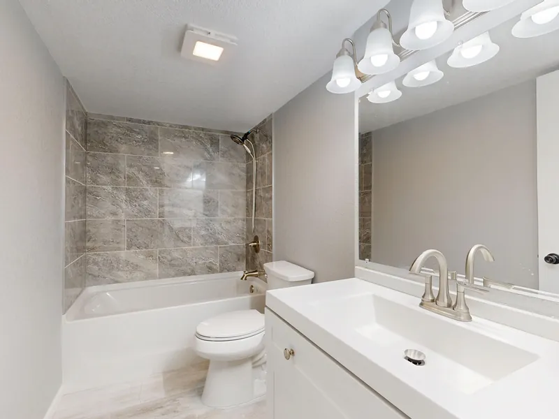 Alcove tub and shower beside a long vanity with a large mirror above it